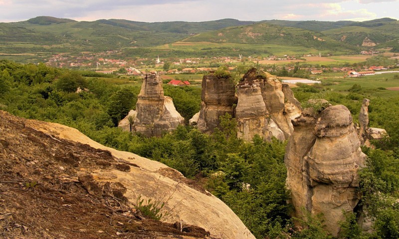 Excursie la Grădina Botanică Jibou Excursie la Grădina Botanică Jibou